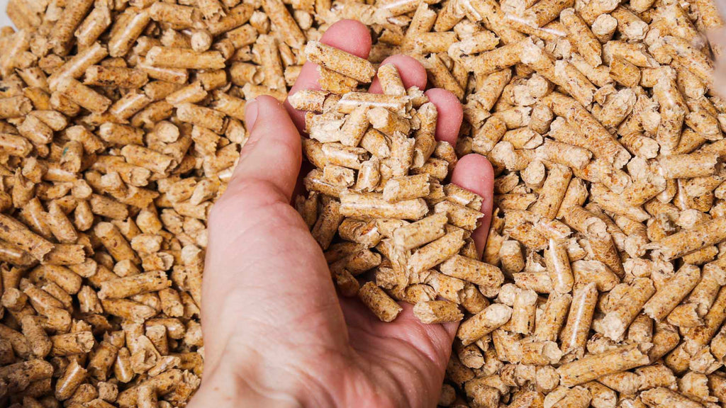 1 LKW-Ladung Premium Holzpellets – Bild 4