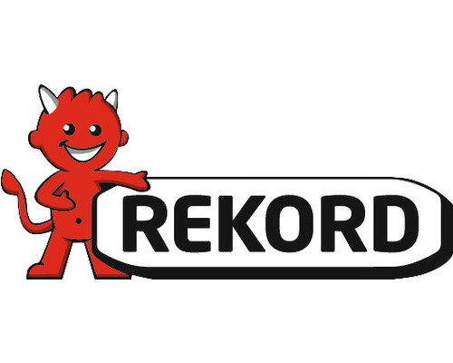 10 Paletten REKORD Braunkohlebriketts (40×25 kg) – Großvorrat 10 t