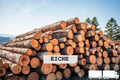 Stammholz Eiche – LKW-Ladung flexibel (20 RM oder 40 RM)