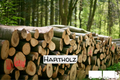 Stammholz Hartholz / Laubholz – LKW-Ladung (20 – 40 RM)
