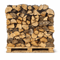 Brennholz aus Eiche, 30 cm, trockene Scheite auf Palette