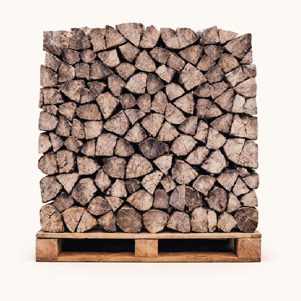 Hainbuchen-Brennholz 50 cm trockene Scheite auf Palette