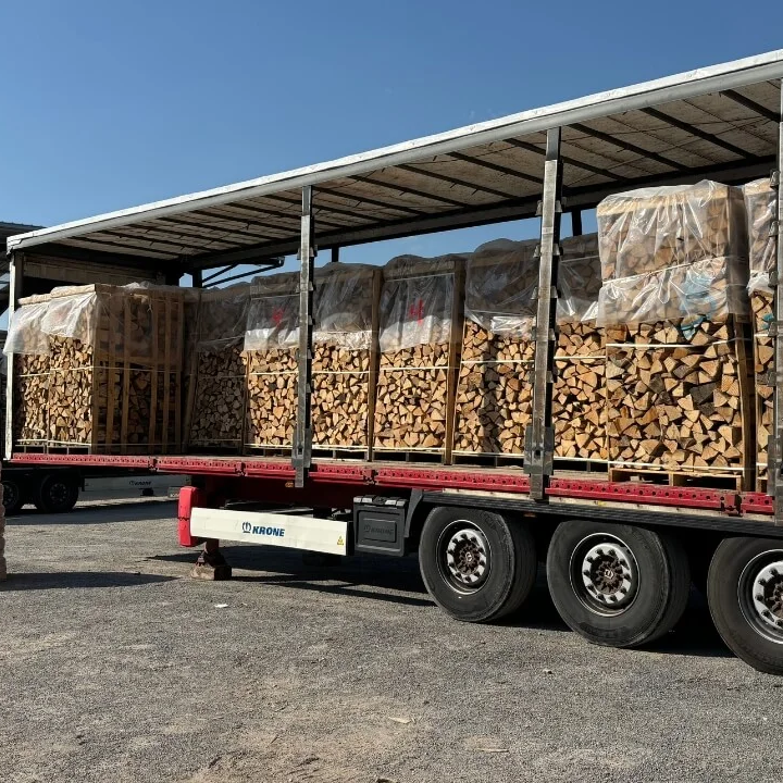 Buchenholz – LKW-Ladung (48 RM) – 25 cm Stämme – Premiumqualität H1 G1