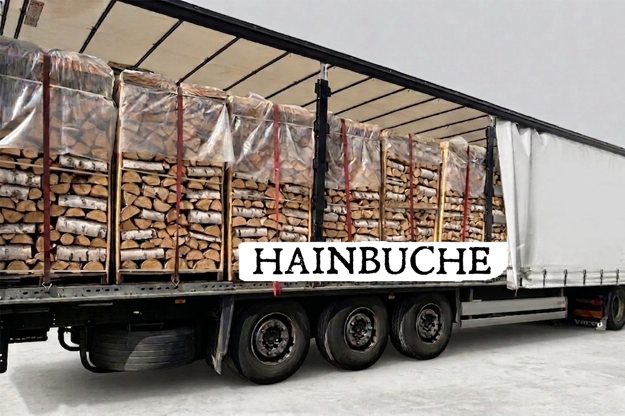 LKW-Ladung Brennholz - Hainbuche - 30/33 cm - kammergetrocknet - 2 RM Paletten – Bild 2